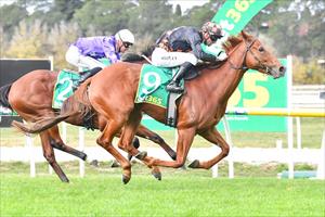 Shubael Kyneton 8 May 2025